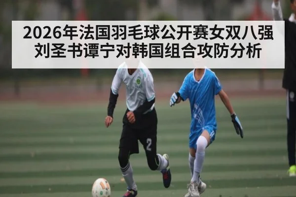 2026年法国羽毛球公开赛女双八强刘圣书谭宁对韩国组合攻防分析（kaiyun）